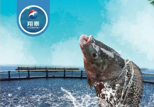 翔泰漁業(yè)深耕【海南鯛】近二十年，堅(jiān)持高品質(zhì)水產(chǎn)品穩(wěn)定供應(yīng)，不斷創(chuàng)新研發(fā)產(chǎn)品以滿(mǎn)足不同市場(chǎng)需求！