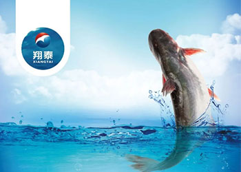 繼金鯧魚(yú)、海南鯛之后！翔泰漁業(yè)全力打造第三條精品魚(yú)【海南巴沙魚(yú)】