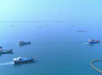 首批漁獲——翔泰2023金鯧魚(yú)全面開(kāi)捕，從南海到餐桌，全程可追溯！